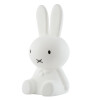 Mr. Maria Miffy Small Lamba