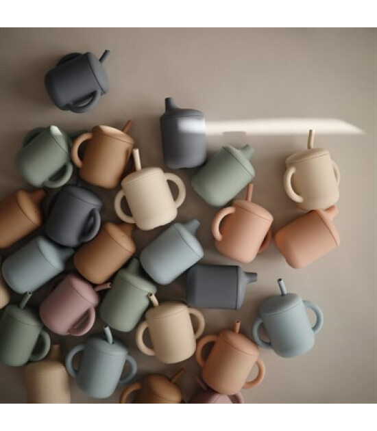 Mushie Pipetli Silikon Alıştırma Bardağı // Blush