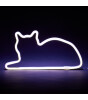 Mustard Led Işık // Sitting Cat