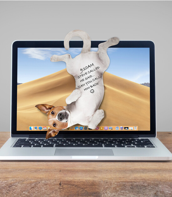 Mustard Asılabilir Notluk // Dog