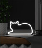 Mustard Led Işık // Cat