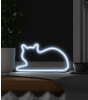 Mustard Led Işık // Cat