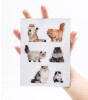 Mustard Magnet Set // Cat