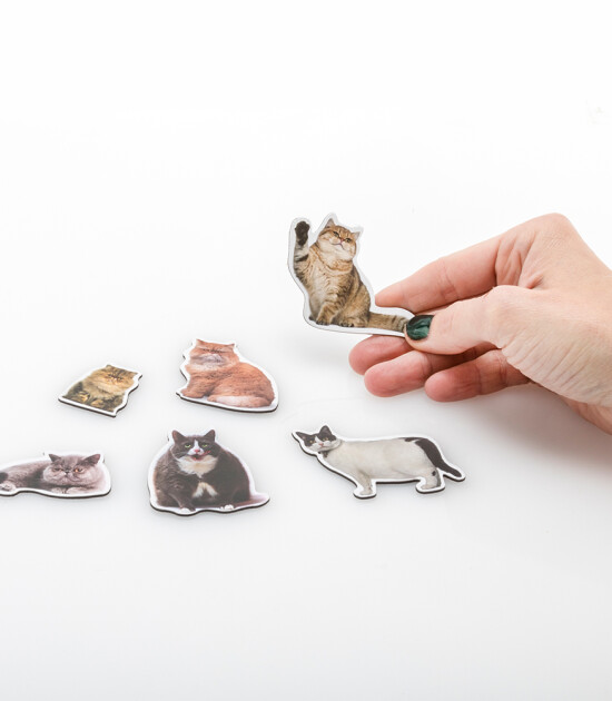 Mustard Magnet Set // Cat