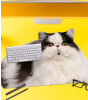 Mustard Fat Cat Mousepad