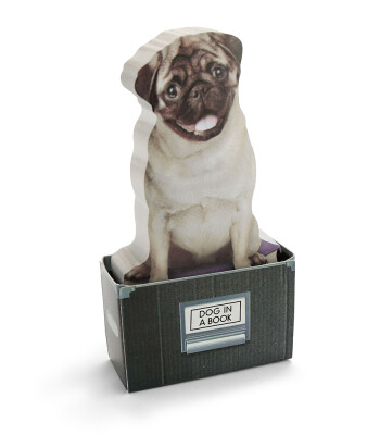 Mustard Sticky Notes Not Kağıdı // Dog in a Box