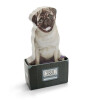 Mustard Sticky Notes Not Kağıdı // Dog in a Box