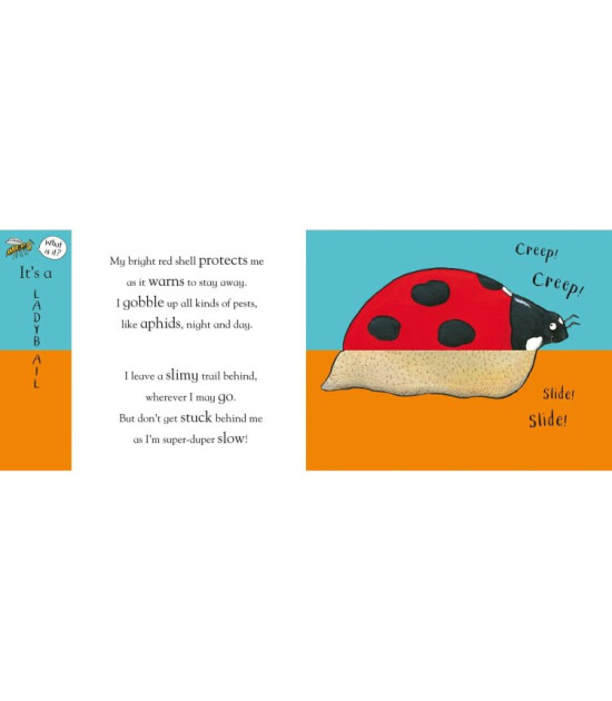 Nosy Crow Axel Scheffler's Flip Flap Minibeasts