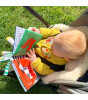 Nosy Crow A Tiny Little Story: Park