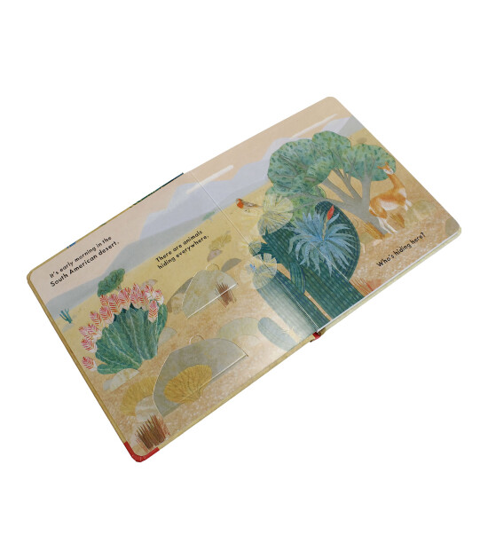 Nosy Crow Who's Hiding in the Desert?