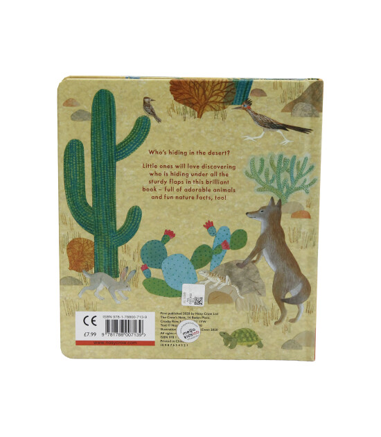 Nosy Crow Who's Hiding in the Desert?