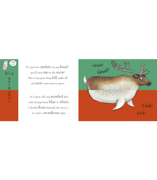 Nosy Crow Axel Scheffler's Flip Flap Frozen