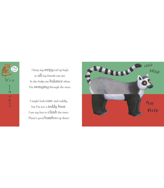 Nosy Crow Axel Scheffler&rsquo;s Flip Flap Zoo