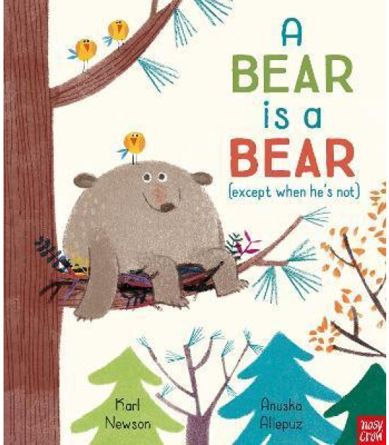 Nosy Crow A Bear is a Bear