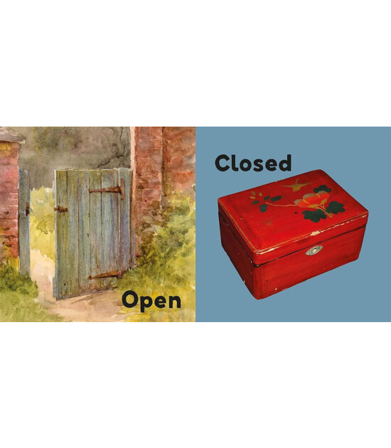 Nosy Crow British Museum: Opposites