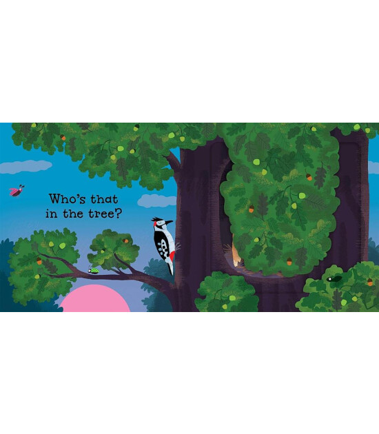 Nosy Crow Can You Say It Too? Twit! Twoo!