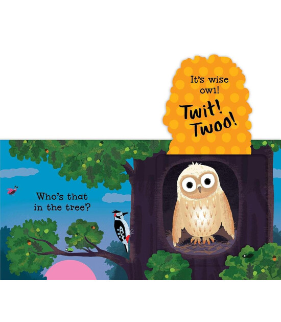Nosy Crow Can You Say It Too? Twit! Twoo!