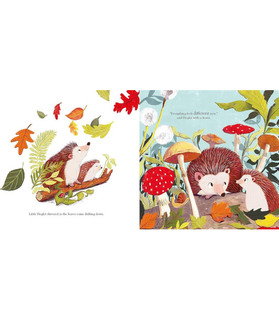 Nosy Crow Love You Always