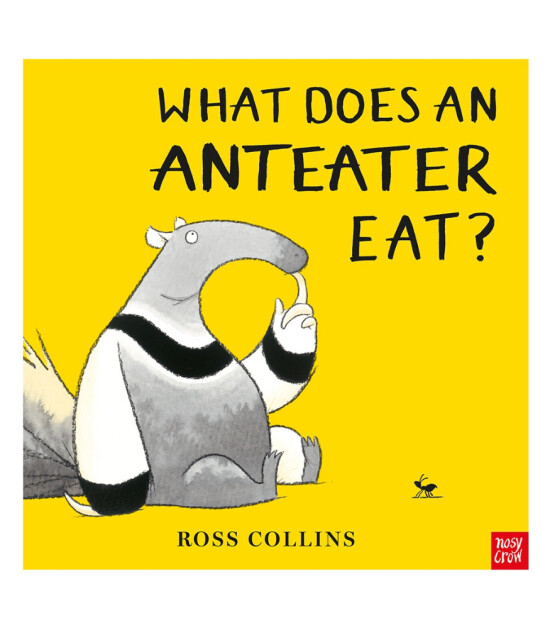 Nosy Crow What Does an Anteater Eat?
