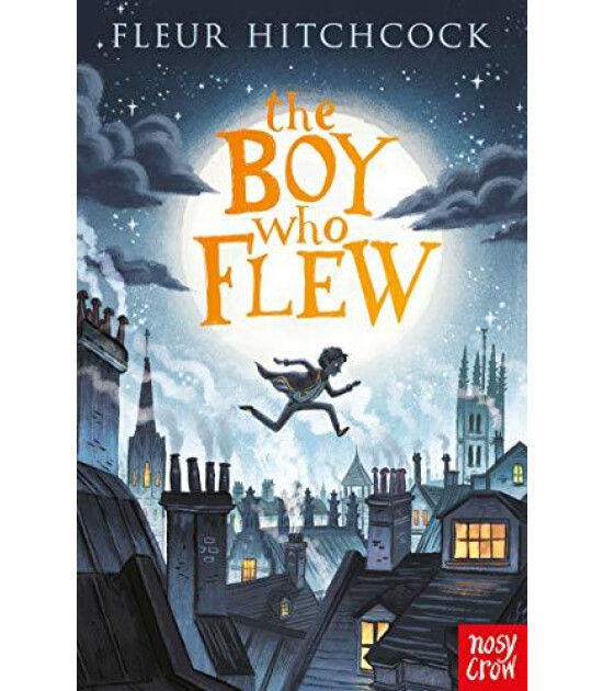 Nosy Crow The Boy Who Flew