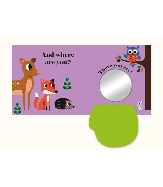 NC - Felt Flaps: Where's Mr Owl?