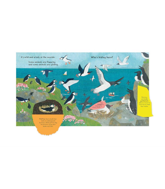 Nosy Crow National Trust: Who's Hiding at the Seaside?