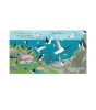 Nosy Crow National Trust: Who's Hiding at the Seaside?