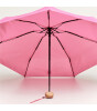 Original Duckhead The Mini Ultra Kompakt Şemsiye // Fraise