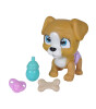 Simba Pamper Petz Köpek