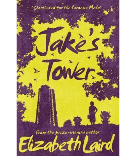 Pan Macmillan Jake's Tower