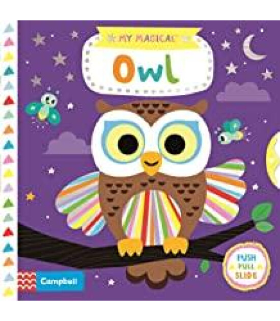 Pan Macmillan My Magical Owl