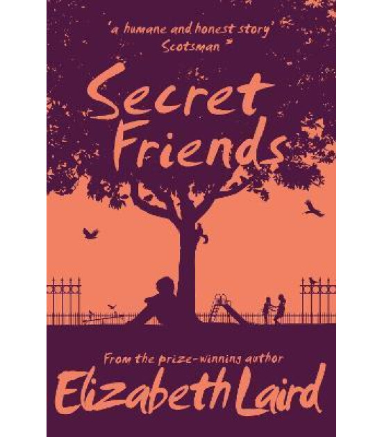 Pan Macmillan Secret Friends