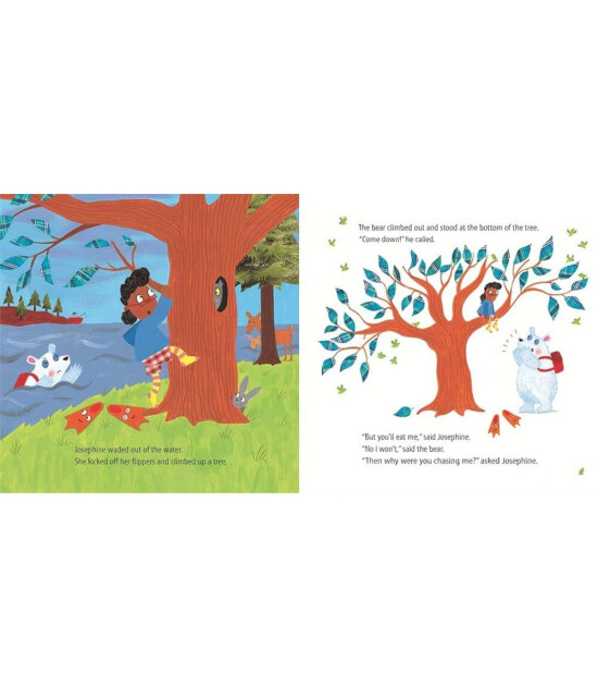 Pan Macmillan The Girl, the Bear and th