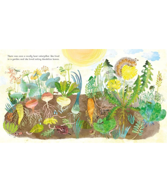 Pan Macmillan The Woolly Bear Caterpill