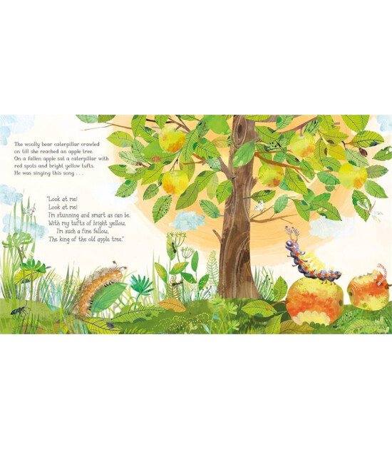 Pan Macmillan The Woolly Bear Caterpill