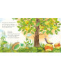 Pan Macmillan The Woolly Bear Caterpill