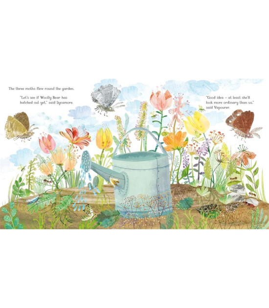 Pan Macmillan The Woolly Bear Caterpill
