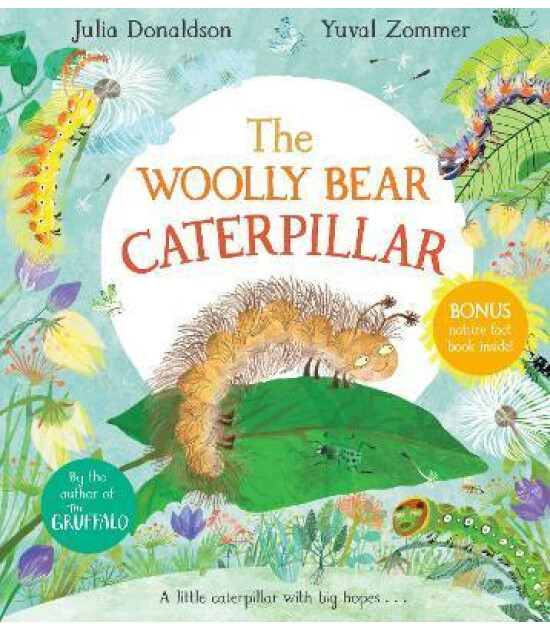 Pan Macmillan The Woolly Bear Caterpill