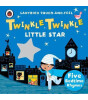 Penguin Random House Children's Uk Twinkle, Twinkle, Little Star: Ladybird Touch and Feel Rhymes