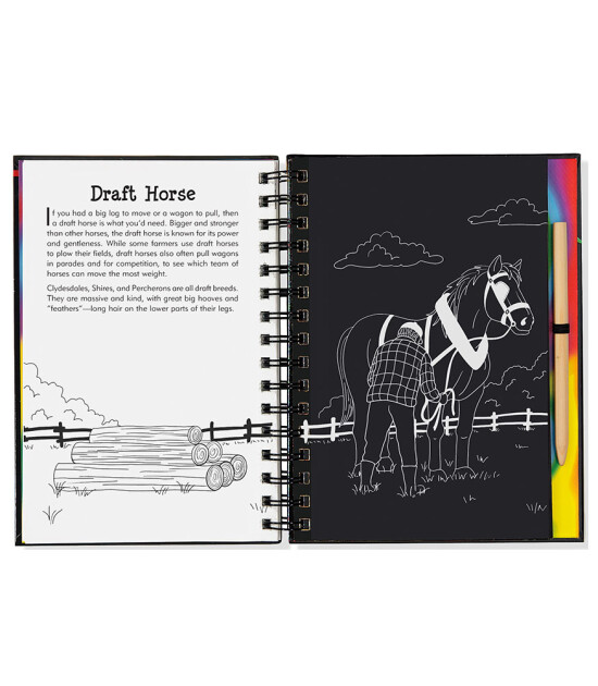 Peter Pauper Press Scratch & Sketch Kazı Öğren Kitap // Horses
