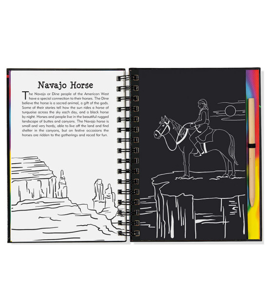 Peter Pauper Press Scratch & Sketch Kazı Öğren Kitap // Horses