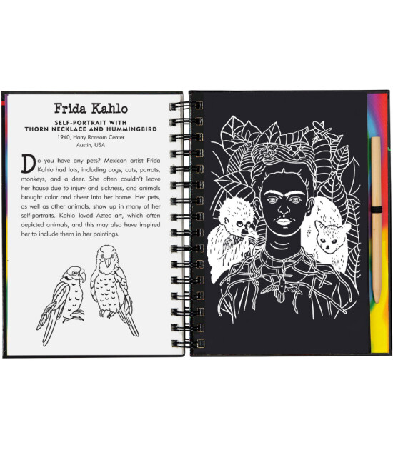 Peter Pauper Press Scratch & Sketch Kazı Öğren Kitap // Fine Art