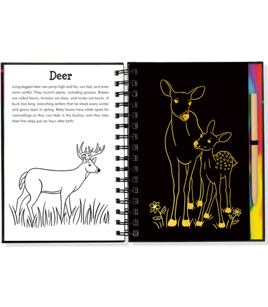 Peter Pauper Press Scratch & Sketch Kazı Öğren Kitap // Forest Friend