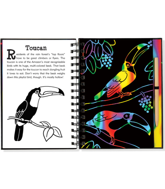Peter Pauper Press Scratch & Sketch Kazı Öğren Kitap // Rain Forest