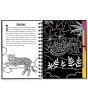 Peter Pauper Press Scratch & Sketch Kazı Öğren Kitap // Rain Forest