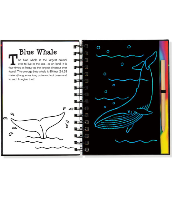 Peter Pauper Press Scratch & Sketch Kazı Öğren Kitap // Under The Sea