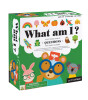 Petit Collage Kutu Oyunu // What Am I?