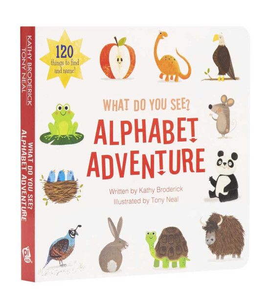 Pi Kids What Do You See?: Alphabet Adventure