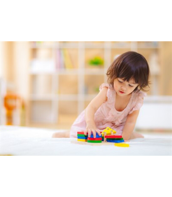 Plantoys Ahşap Geometric Sorting Board