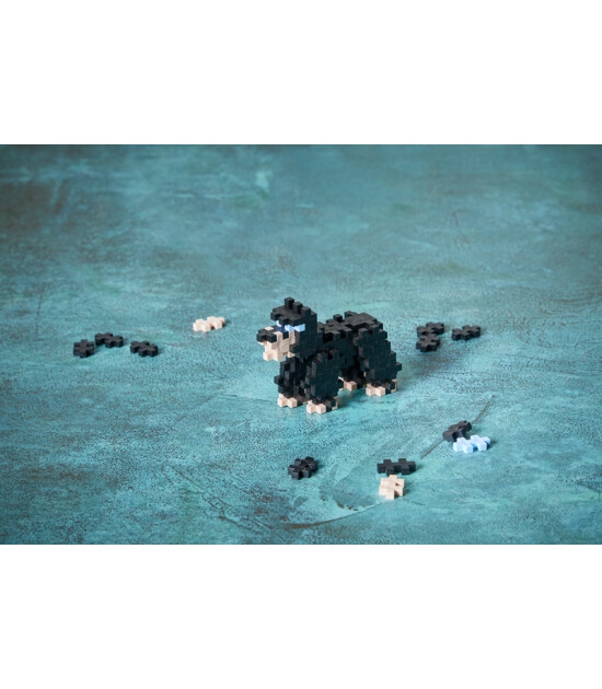 Plus Plus PLUS-PLUS WİLD ANİMALS BEAR / 100 PCS TUBE